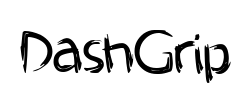 DashGrip - logo